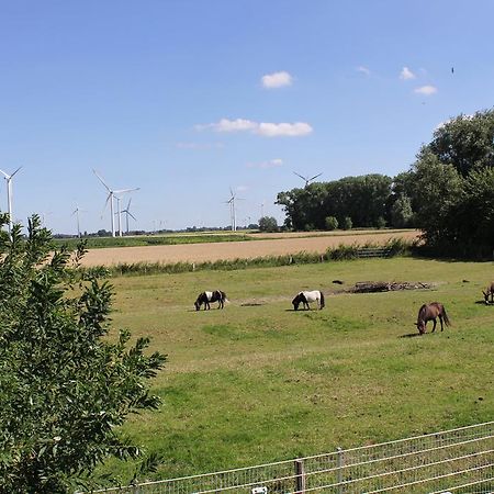 Ferienhaus Achtern Diek Villa Hemme Exteriör bild