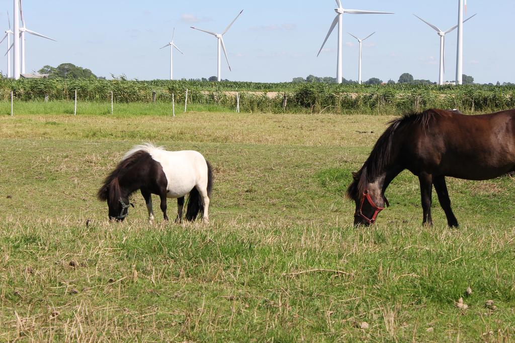 Ferienhaus Achtern Diek Villa Hemme Exteriör bild