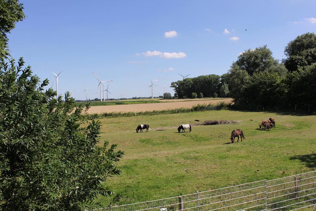 Ferienhaus Achtern Diek Villa Hemme Exteriör bild